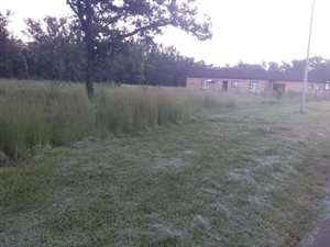 933 m² Land available in Rietkuil