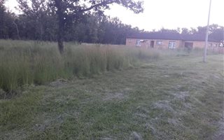 933 m² Land available in Rietkuil