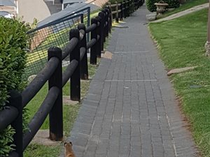 3 Bed Apartment in Glenvista