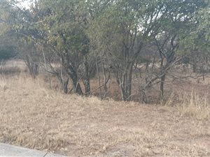 1137 m² Land available in Koro Creek Golf Estate