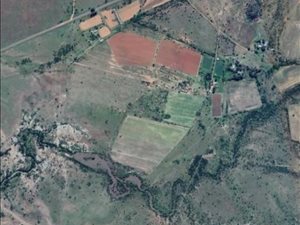 74.5 ha Farm in Brandfort