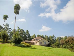 8.8 ha Smallholding in Haenertsburg