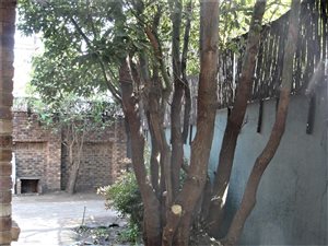 2 Bed Cluster in Boskruin