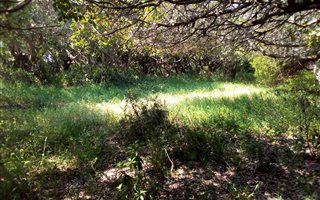 700 m² Land available in Kleinbaai