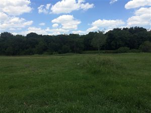 1700 m² Land available in Rothdene