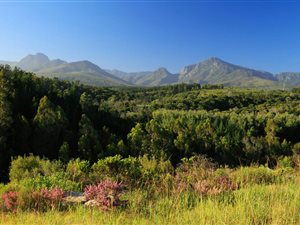 1695 m² Land available in Welgelegen Estate