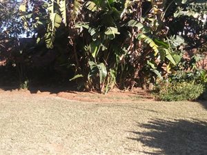 1146 m² Land available in Silverton