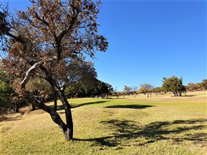 929 m² Land available in Seasons Lifestyle Estate