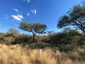 1 ha Land available in Hoedspruit