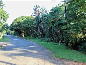 1640 m² Land available in Trafalgar