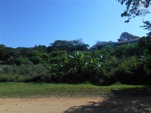 1180 m² Land available in Hibberdene