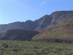 367 ha Farm in Ladismith