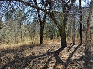 1591 m² Land available in Waterkloof Heights