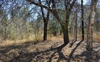 1591 m² Land available in Waterkloof Heights
