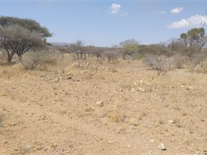 7657 m² Land available in Ivy Park