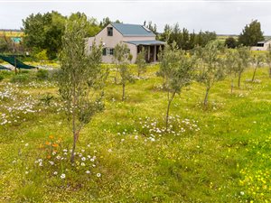 2 Bed House in Aurora
