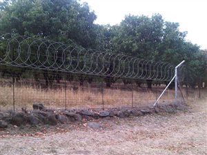 19 ha Farm in Hazyview