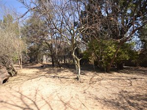 3069 m² Land available in Bryanston