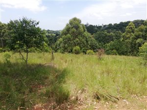 3.1 ha Land available in Crestholme