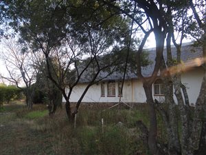 23 Bed House in President Park