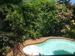 3 Bed Apartment in Morningside