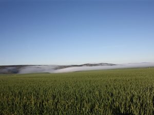 1506 ha Farm in Bredasdorp