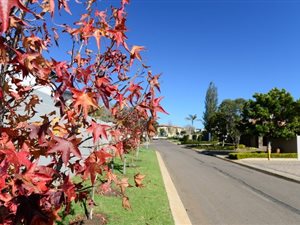 1000 m² Land available in Silverwoods Country Estate