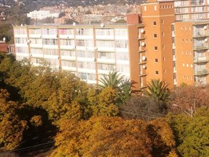2 Bed Flat in Arcadia