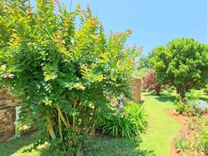 1 Bed Townhouse in Flora Park