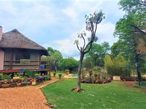 5 ha Farm in Zwavelpoort