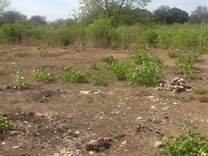 877 m² Land available in Giyani