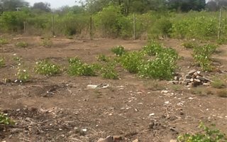 877 m² Land available in Giyani