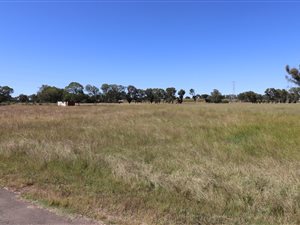 1 ha Land available in Martindale