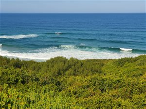 735 m² Land available in Dana Bay