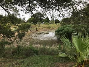 8.2 ha Farm in Gedults River