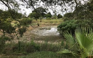 8.2 ha Farm in Gedults River