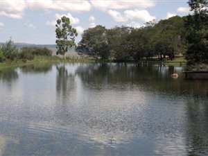 7.5 ha Farm in Machadodorp