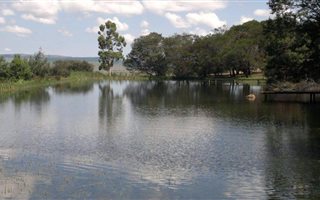 8 ha Farm in Machadodorp