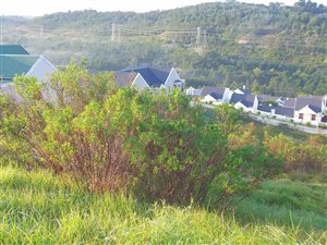 915 m² Land available in Green Pastures