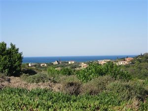 1217 m² Land available in Port Alfred