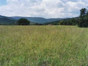 186.1 ha Farm in Vredefort