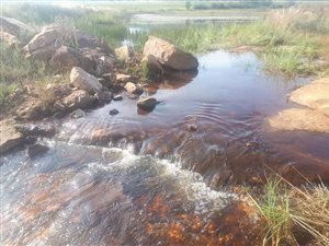 552 ha Farm in Mookgophong (Naboomspruit)