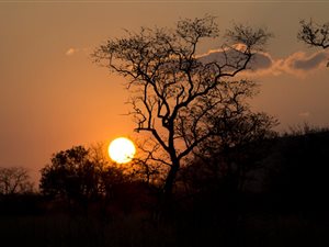 150 m² Land available in Dinokeng