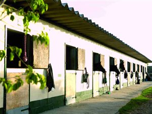 7.2 ha Farm in Philippi