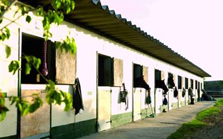 7.2 ha Farm in Philippi