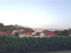 1 Bed Flat in Glenwood