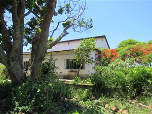 141.6 ha Smallholding in White River