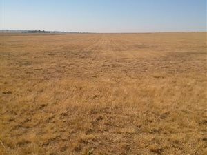 1330 ha Farm in Randfontein