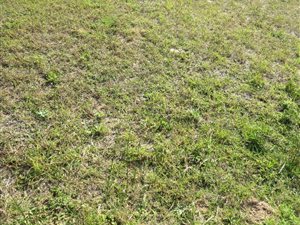 1076 m² Land available in Birdswood