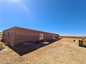 4.3 ha Smallholding in Pellissier